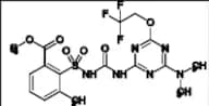 Triflusulfuron methyl