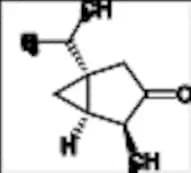 beta-Thujone