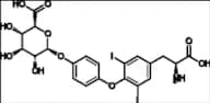 3,5-diiodothyronine glucuronide