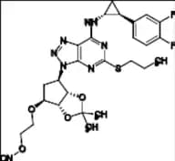 Ticagrelor Impurity 79