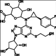 AR-C124910XX-N-Glucuronide
