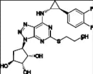 Deshydroxyethoxy Ticagrelor