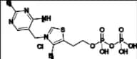 Thiamine Pyrophosphate
