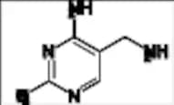Thiamine Impurity 16