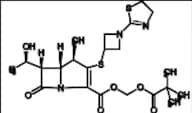 Tebipenem Pivoxil