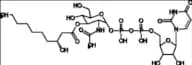 UDP-3-O-(R-3-Hydroxydecanoyl)-N-Acetylglucosamine