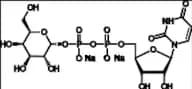 UDP-α-D-Galactose Disodium Salt