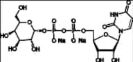 UDP-α-D-Galactose-13C6 Disodium Salt