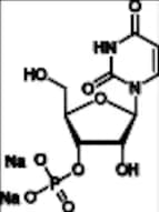 Uridine 3'-Monophosphate Disodium Salt