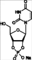Uridine-2’,3’-Cyclic Monophosphate Sodium Salt