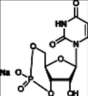 Uridine-3’,5’-Cyclic Monophosphate Tetrabutylammonium Salt