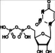 Uridine 5'-Diphosphate-13C-15N2