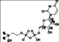 Uridine Diphosphate Choline (UDPC)