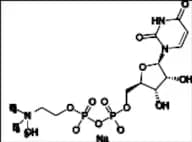 Uridine Diphosphate Choline (UDPC) Sodium Salt