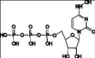 EIDD-1931-5'-Triphosphate
