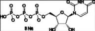 Uridine-5'-Triphosphate Trisodium Salt