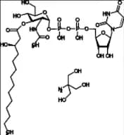 UDP-3-O[R-3-Hydroxymyristoyl]-N-Acetylglucosamine Tris Salt