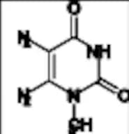 5,6-Diamino-1-Methyluracil