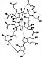 Hydroxocobalamin Acetate (Vitamin B12 Analog)