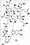 Methylcobalamin Hydrate