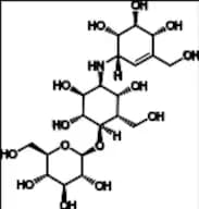Validamycin B