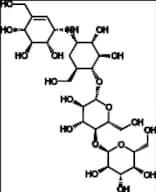 Validamycin E