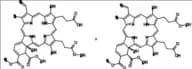 Verteporfin