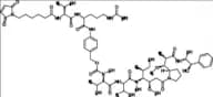 VcMMAE