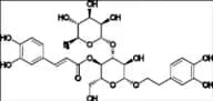 Acteoside (Verbascoside)