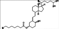 Vitamin D3  Octanoate