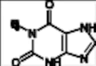 1-Methyl Xanthine