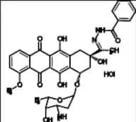 Zorubicin HCl