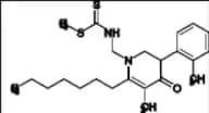 ZZR Impurity 26