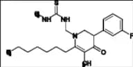 ZZR Impurity 32