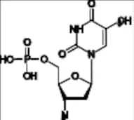 Zidovudine Monophosphate