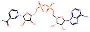 3-Acetylpyridine adenine dinucleotide, oxidised form