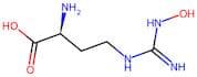 N-ω-Hydroxy-L-norarginine
