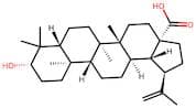 Betulinic acid with hplc