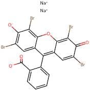 Eosin Y powder