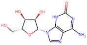 Isoguanosine
