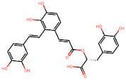 Salvianolic Acid A