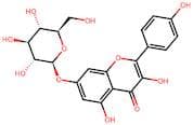 Kaempferol-7-O-β-D-glucopyranoside