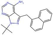 1-NM-PP1