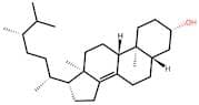 Ergostenol