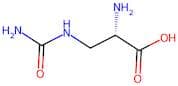 L-Albizziin