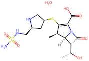 Doripenem monohydrate