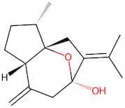 Isocurcumenol