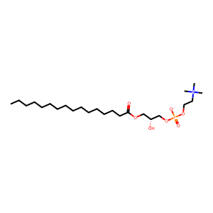 1-Palmitoyl-sn-glycero-3-phosphocholine