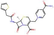 Cephalonium