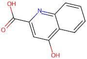 Kynurenic acid